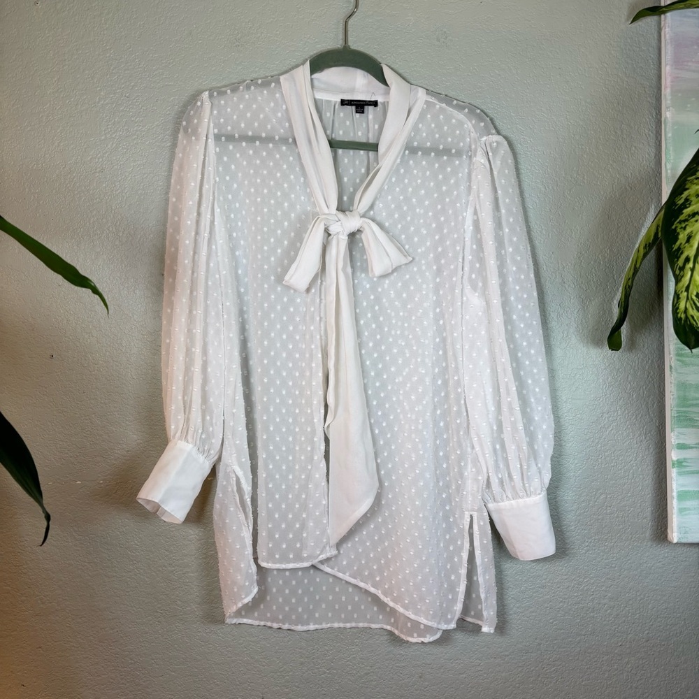 Adrianna Papell Sheer White Swiss Dot Grannycore V Neck Pussybow Bohemian Top L